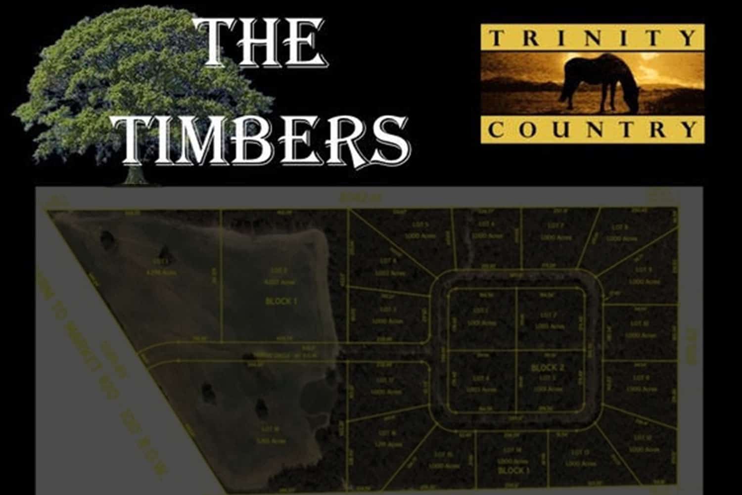 THE TIMBERS